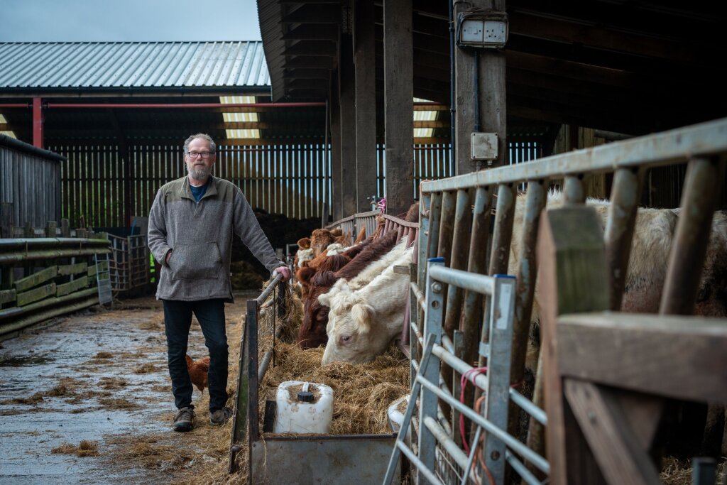 A man dressed in a grey fleece, dark trousers and sturdy outdoor boots leans against a railing, behind which dairy cows eat hay.